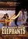 Le maître des éléphants poster thumbnail