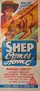 Shep Comes Home poster thumbnail