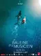La baleine et le musicien poster thumbnail