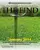The Find poster thumbnail